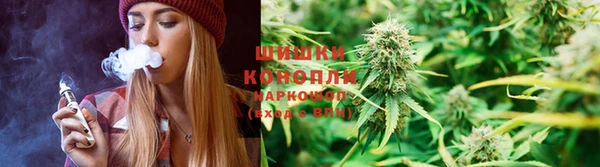 прущие грибы Гусев