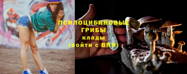 дмт Горнозаводск