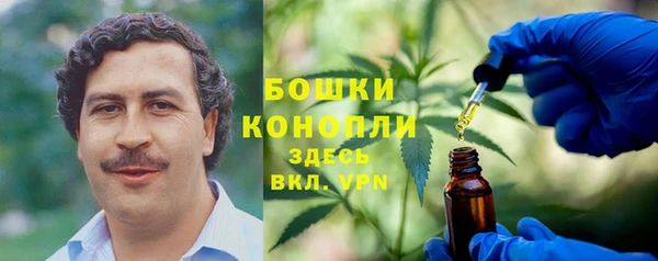 дмт Горнозаводск