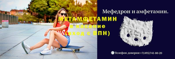 прущие грибы Гусев