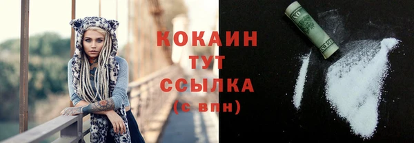 индика Горно-Алтайск