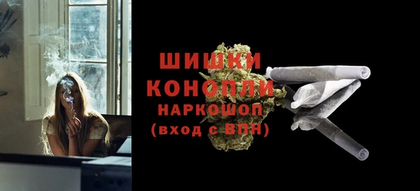 PSILOCYBIN Гусиноозёрск