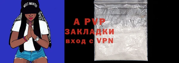 прущие грибы Гусев