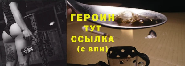 прущие грибы Гусев