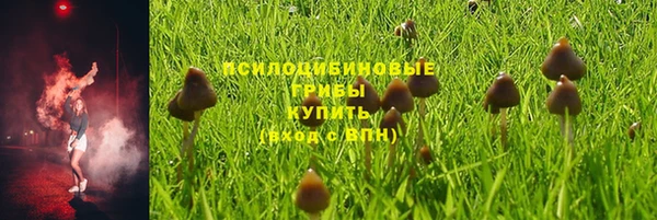 герыч Гусь-Хрустальный