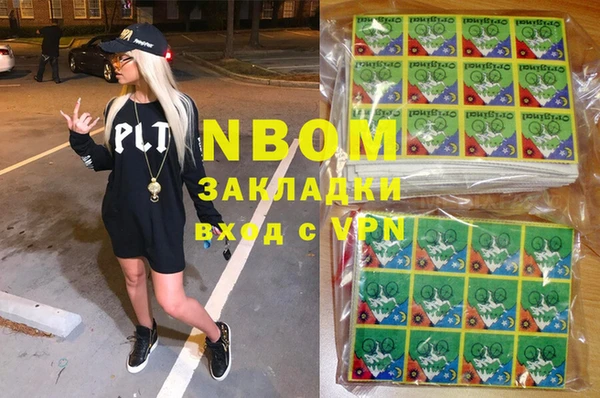 индика Горно-Алтайск