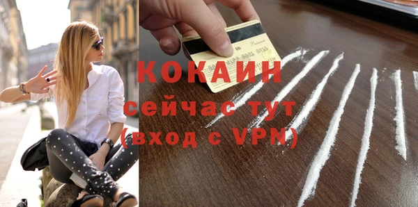 PSILOCYBIN Гусиноозёрск