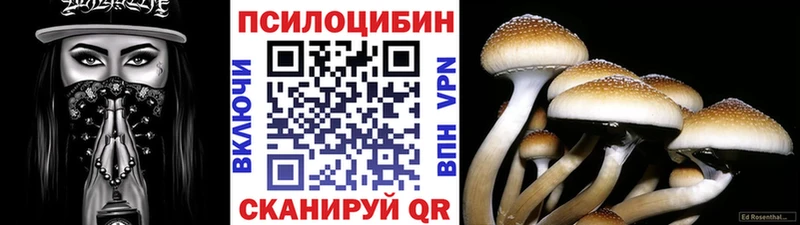 Купить где  Мещовск  Псилоцибиновые грибы Cubensis 
